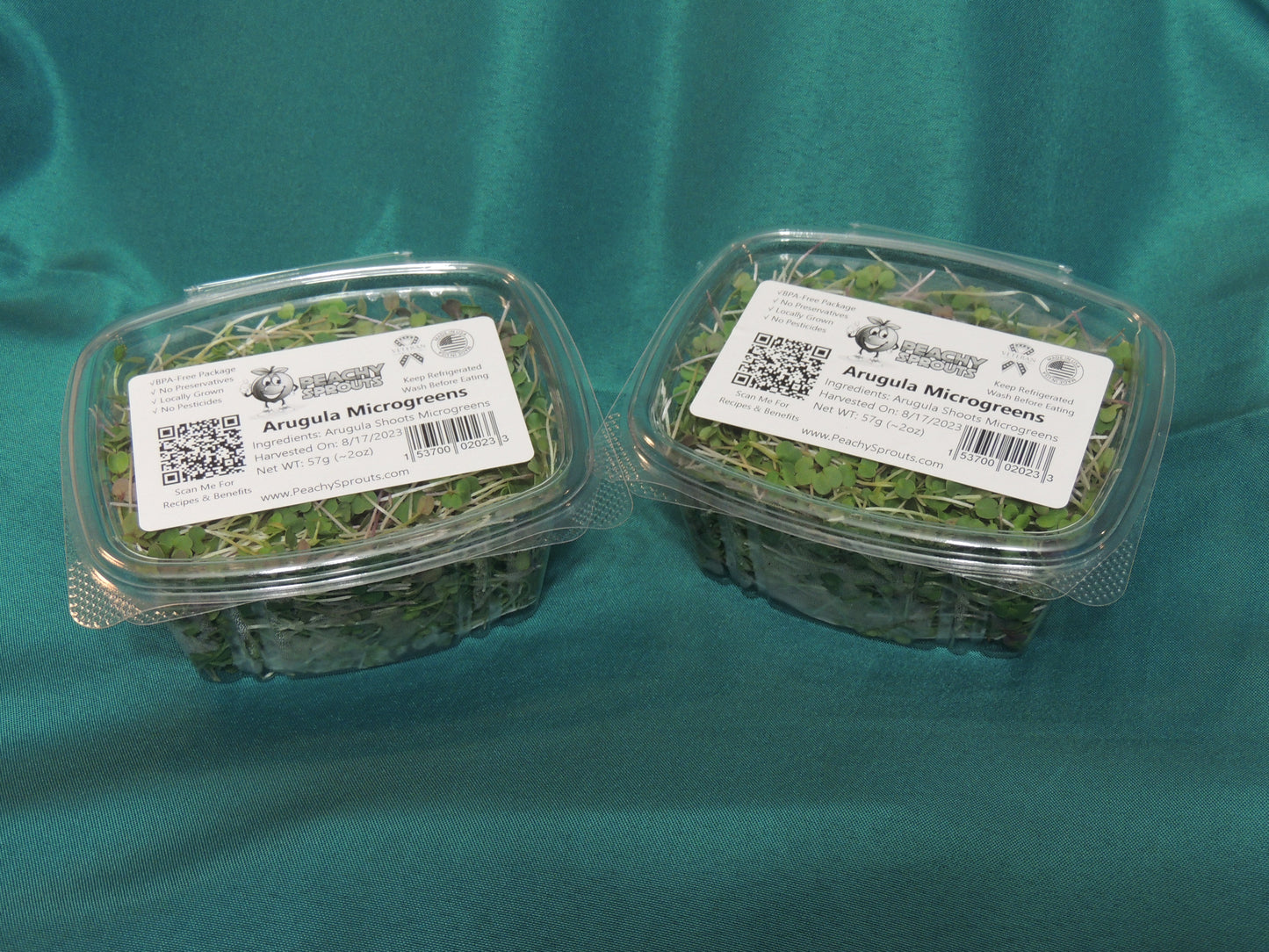 Arugula Microgreens