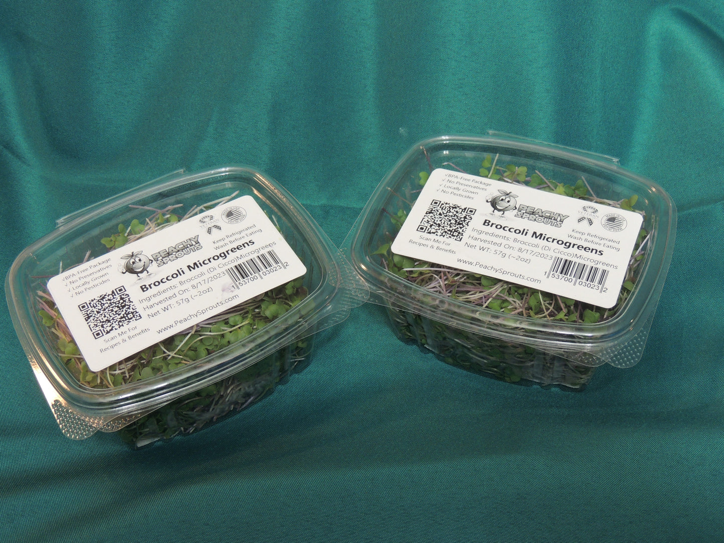 Broccoli Microgreens - Di Cicco