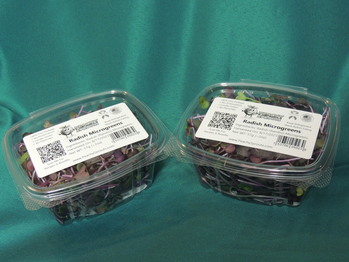 Radish Microgreens - Rambo