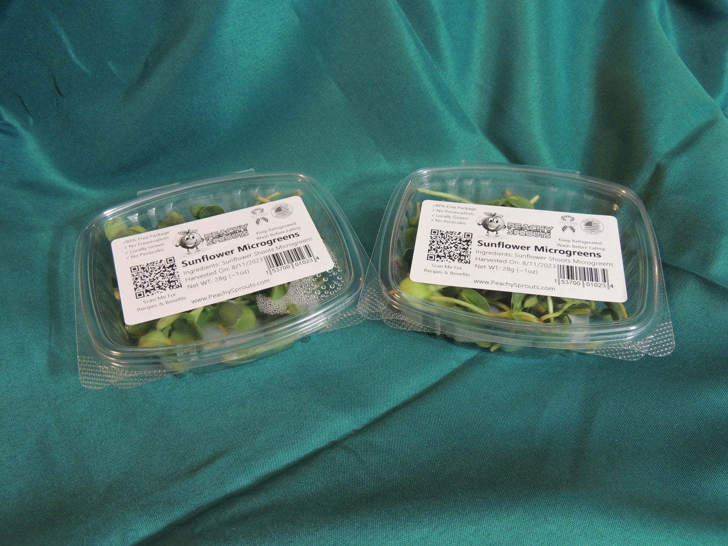 Sunflower Microgreens