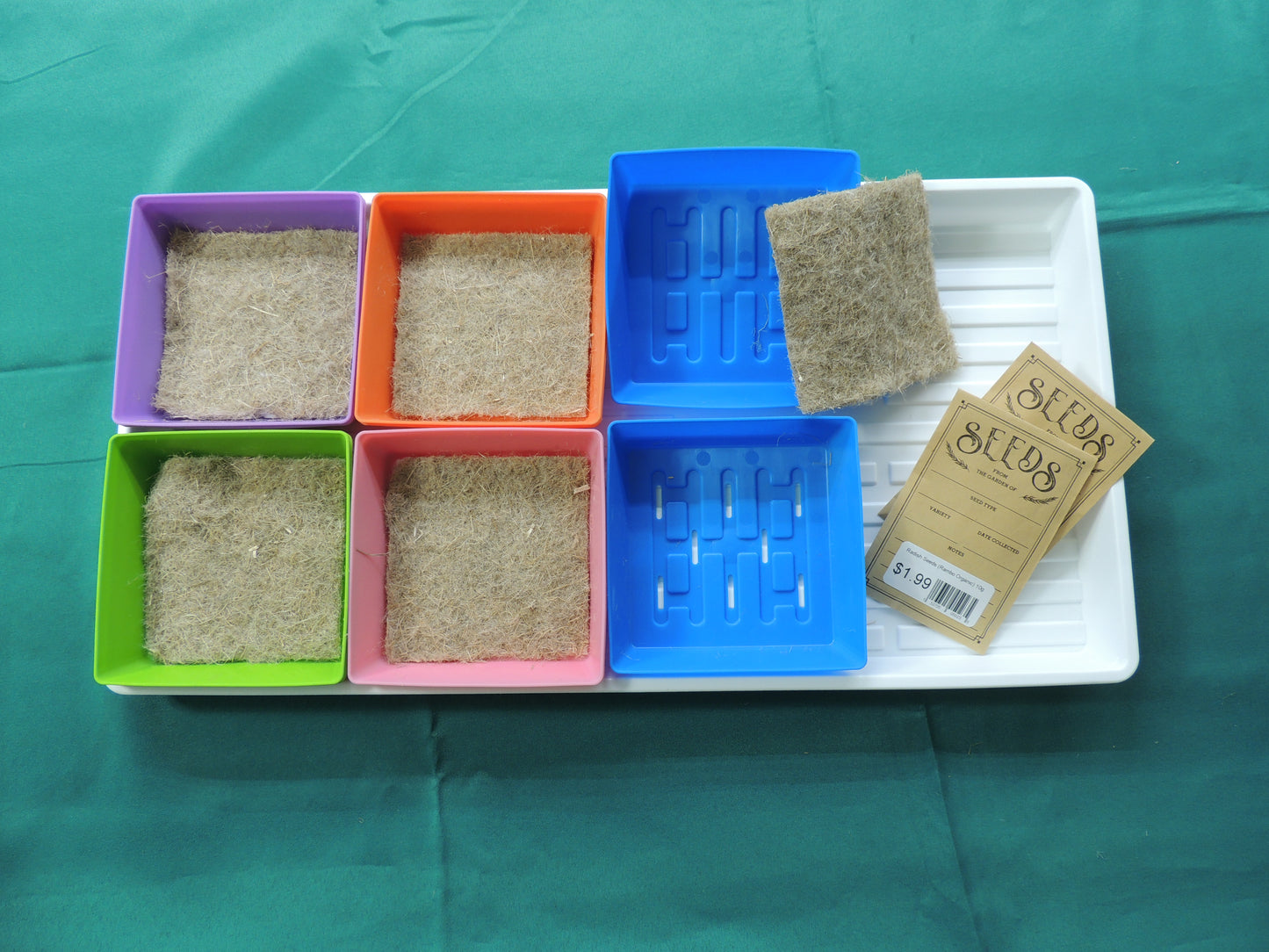 Learn To Grow Microgreens