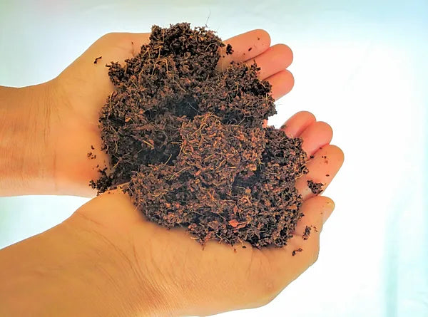 Coco Coir Block 11lbs (5kg)