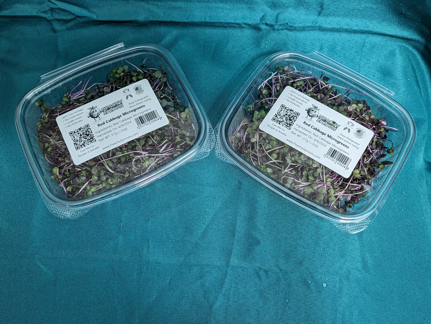 Red Cabbage Microgreens
