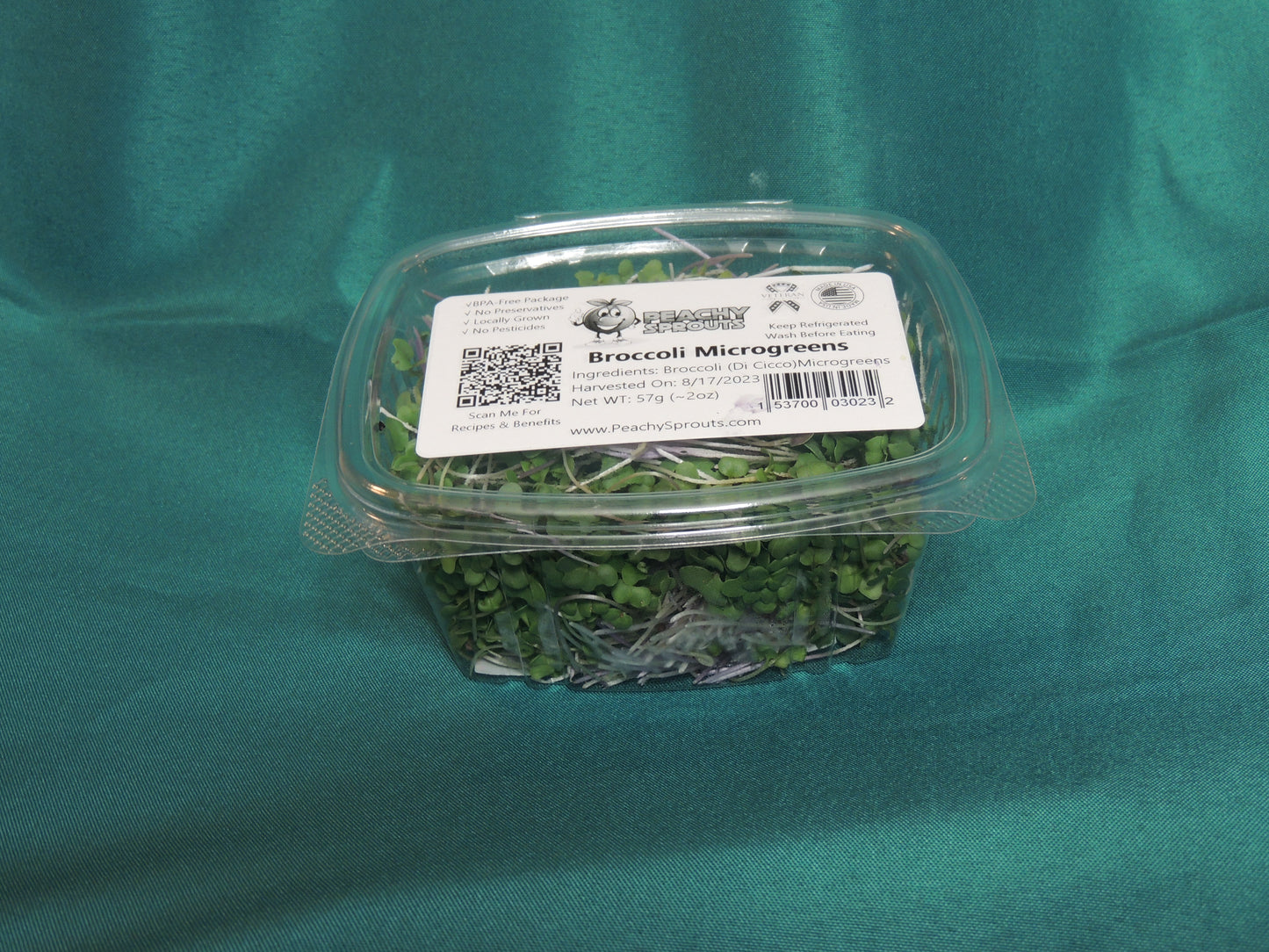 Broccoli Microgreens - Di Cicco