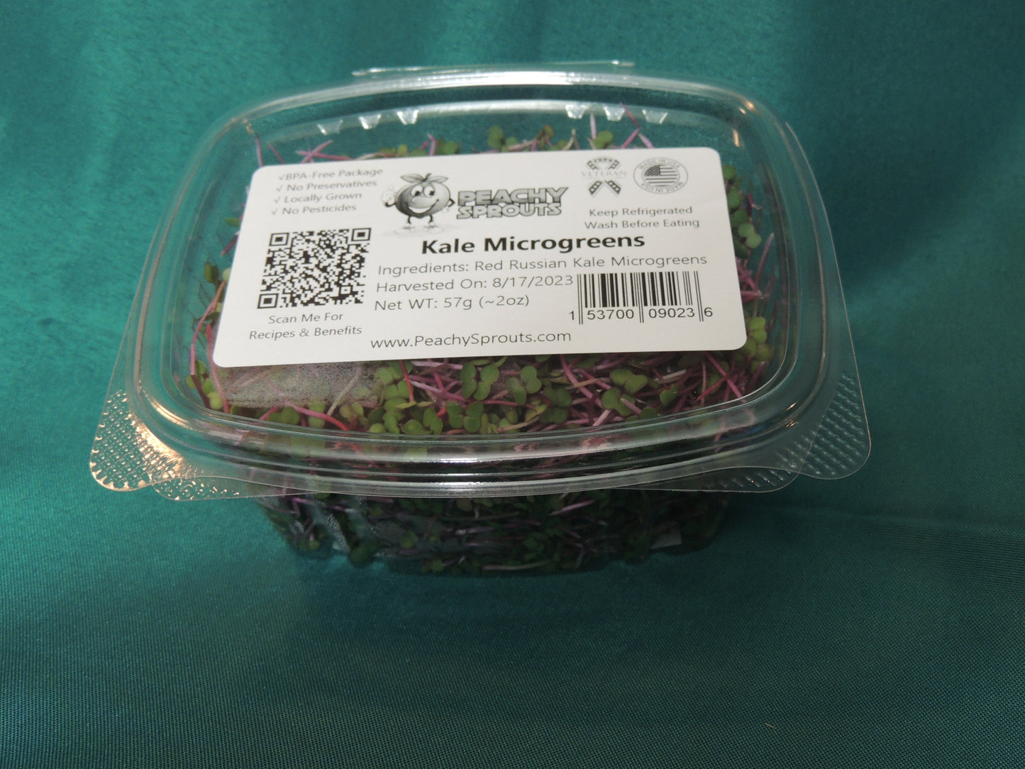 Kale Microgreens - Red Russian