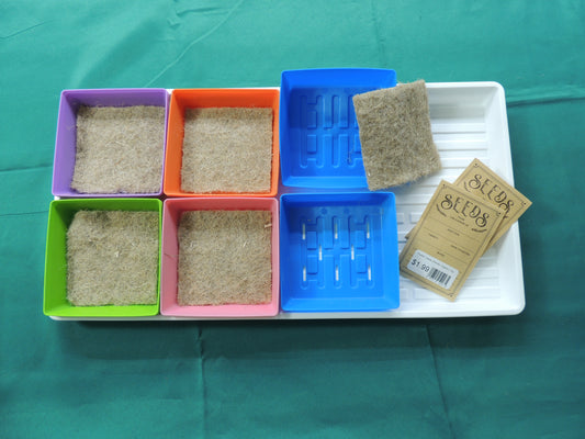 Learn To Grow Microgreens